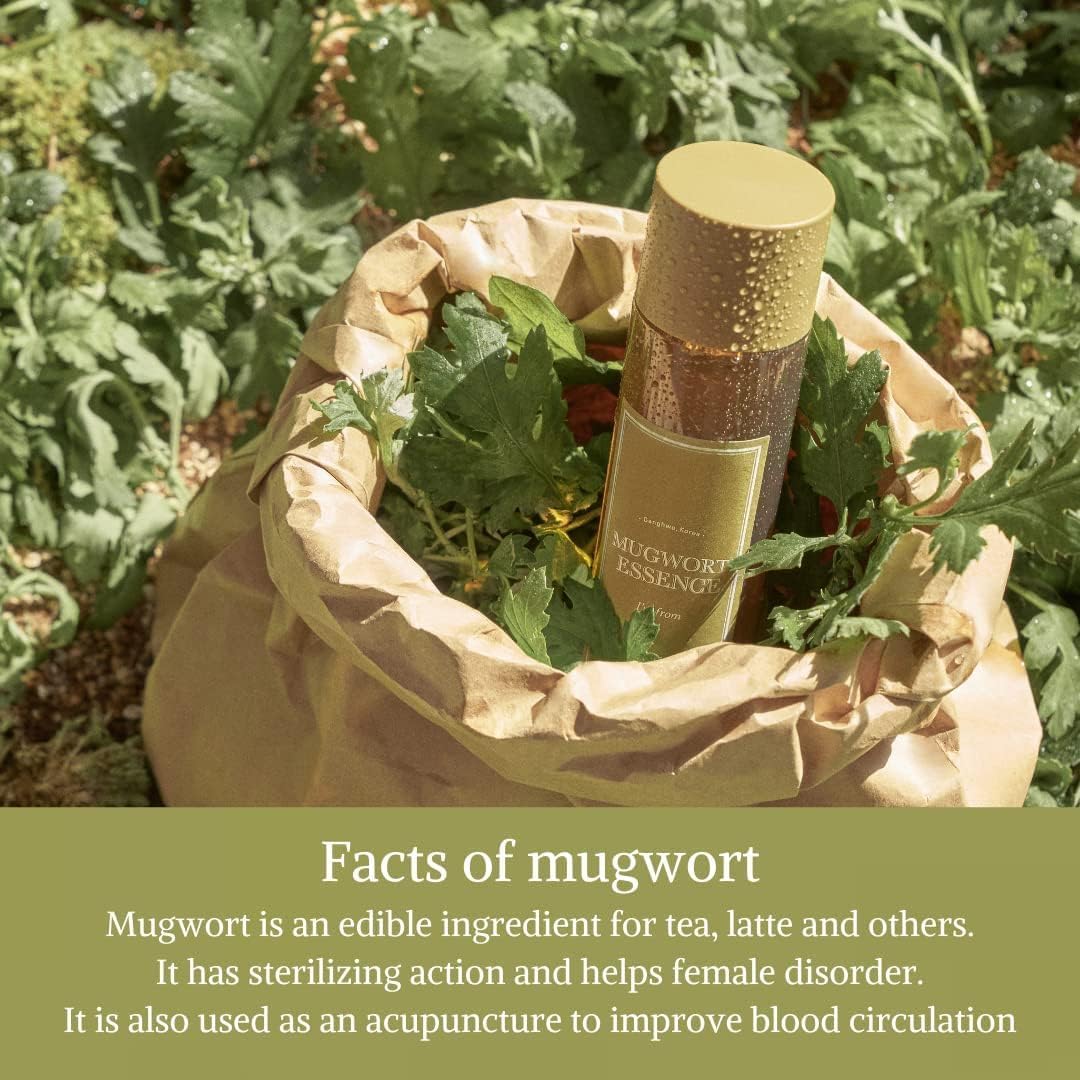 I'm From Miniature of Mugwort Essence - 30ml