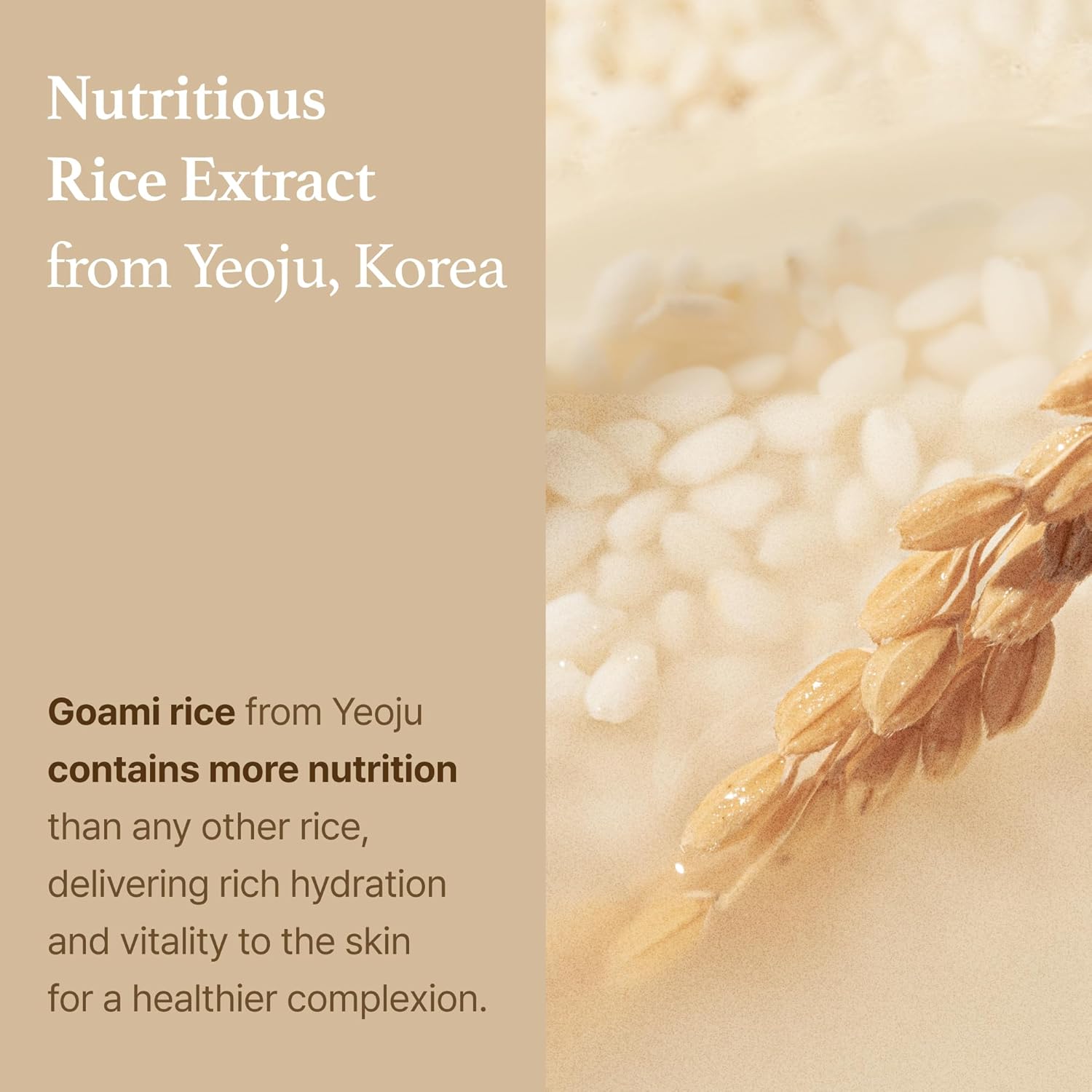 I'm From Miniature of Rice Toner - 30ml