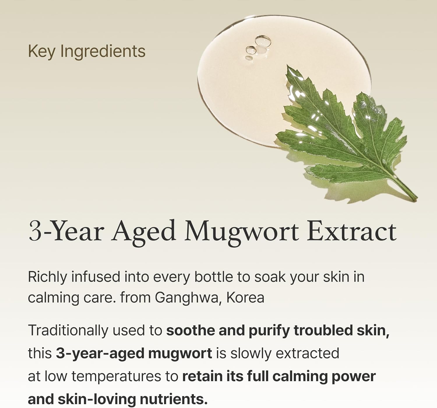 Hydrating Glow Essence - 160ml