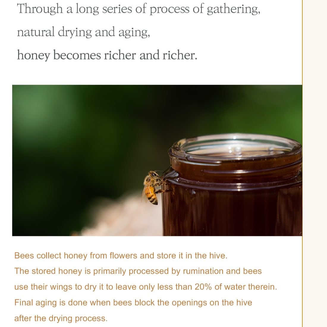 I'm From Honey Serum 30ml