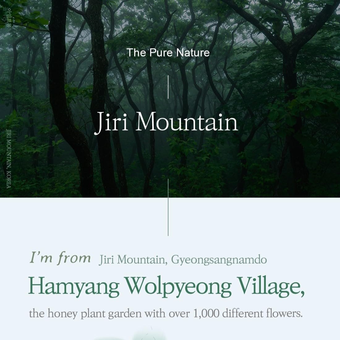 I'm From Honey Serum 30ml