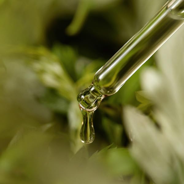 I'm from Mugwort Serum - 30ml